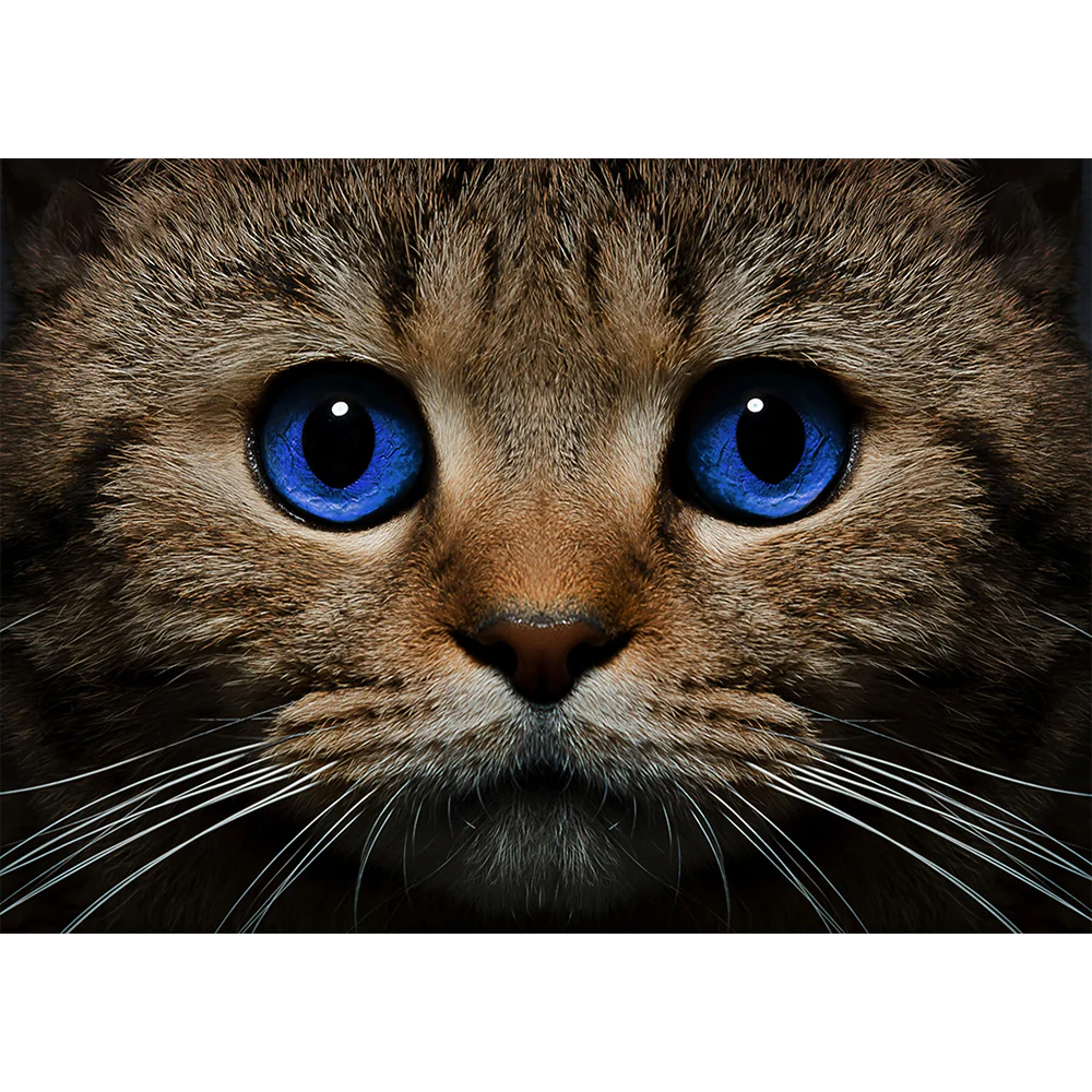 Collection D Art Blue-eyed Cat 38x27 Mosaic Kit - DE497