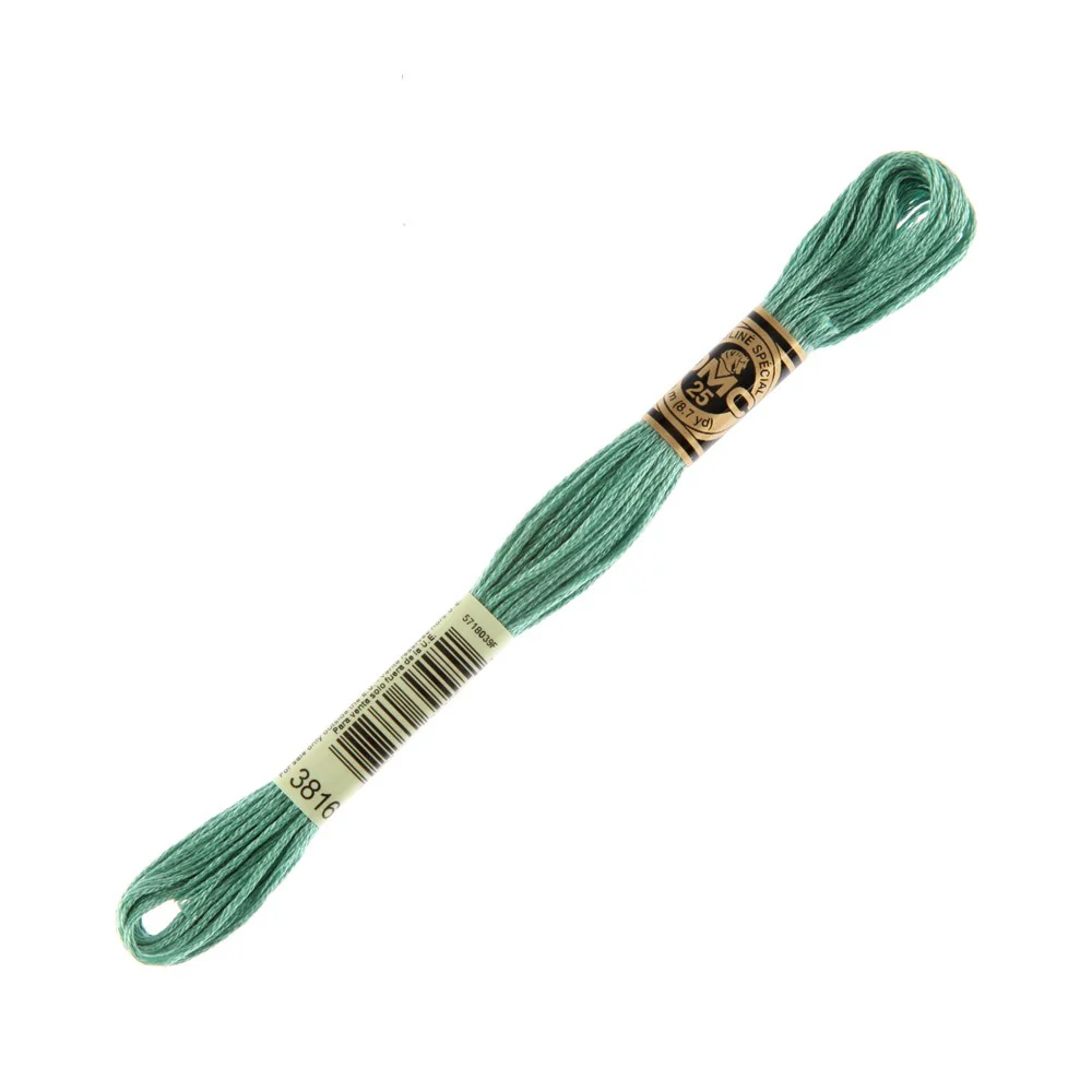 DMC Mouline Special 8 m Embroidery Thread - 3816