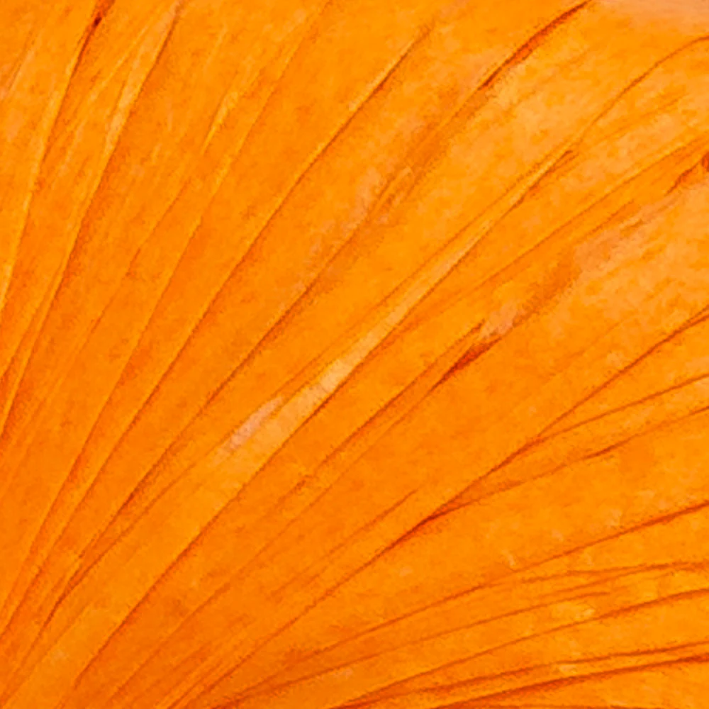 Fibra Natura 40 g Raffia Paper Yarn, Orange - 116-19 - Image 2
