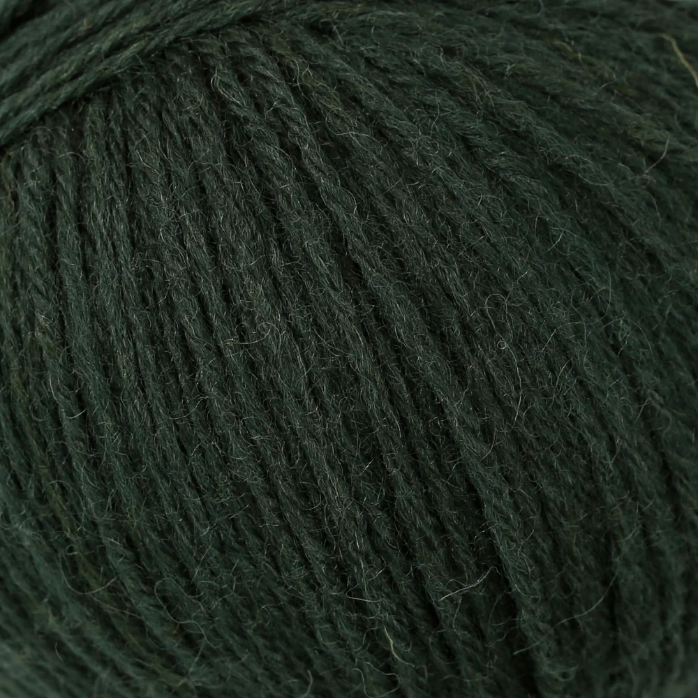 La Mia Merino Yarn, Dark Green - L801 - Image 2