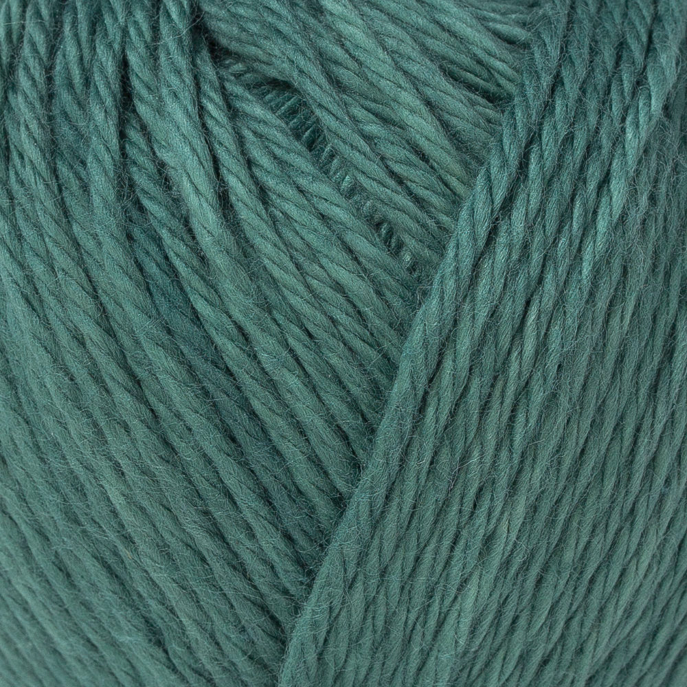 La Mia Pastel 100% Cotton Yarn, Green Black - L055 - Image 2