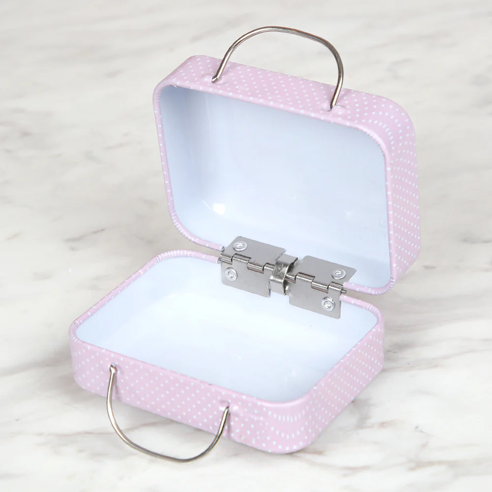 Nas Metal Storage Box Bag - Pink - Image 2