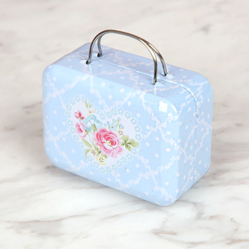 Nas Metal Storage Box Bag - Blue