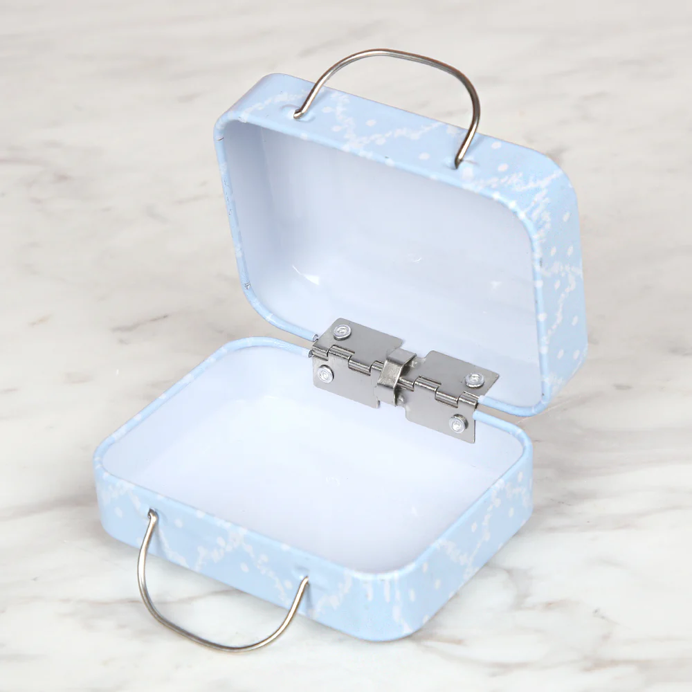 Nas Metal Storage Box Bag - Blue - Image 2