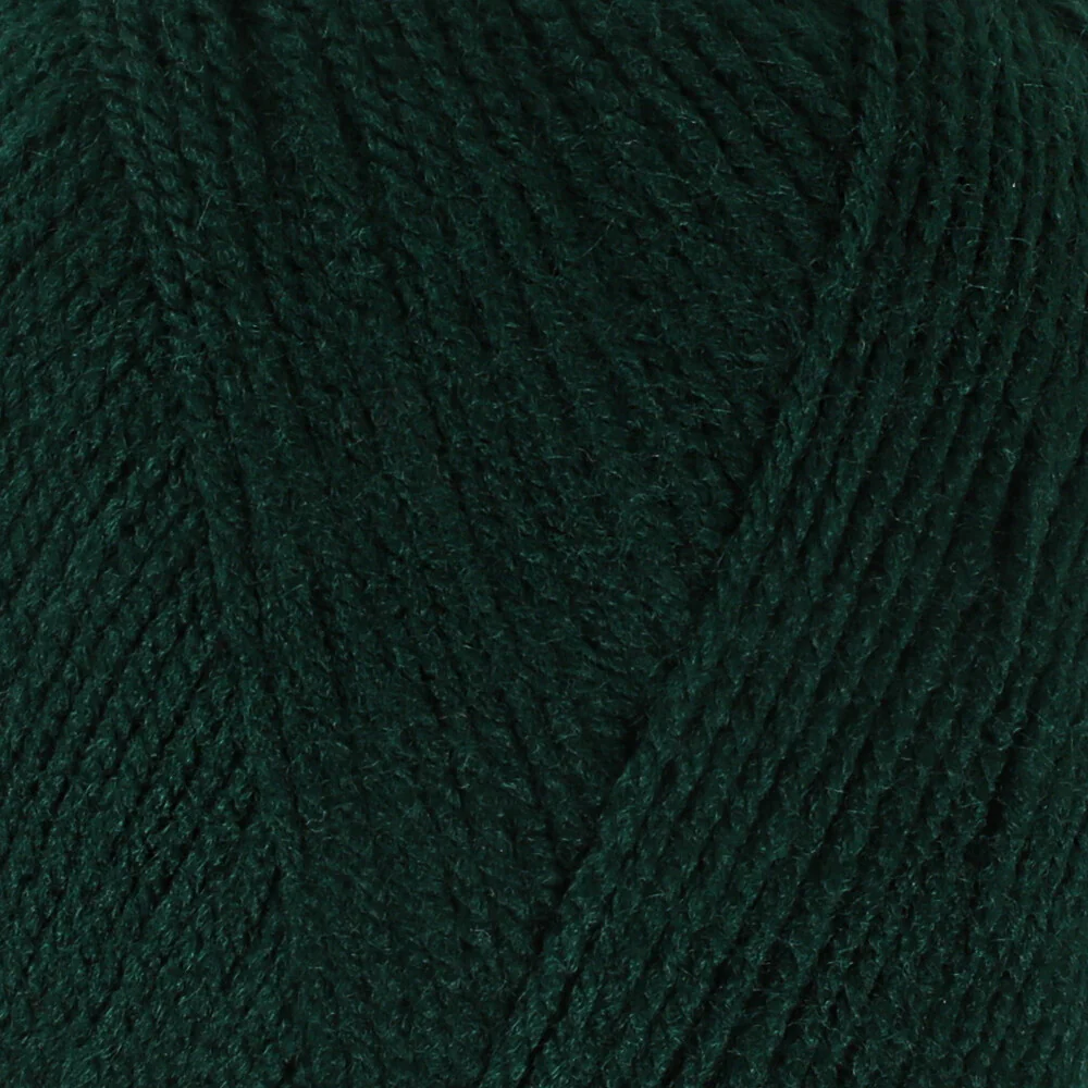 Madame Tricote Paris Star Yarn, Dark Green - 088 - Image 2